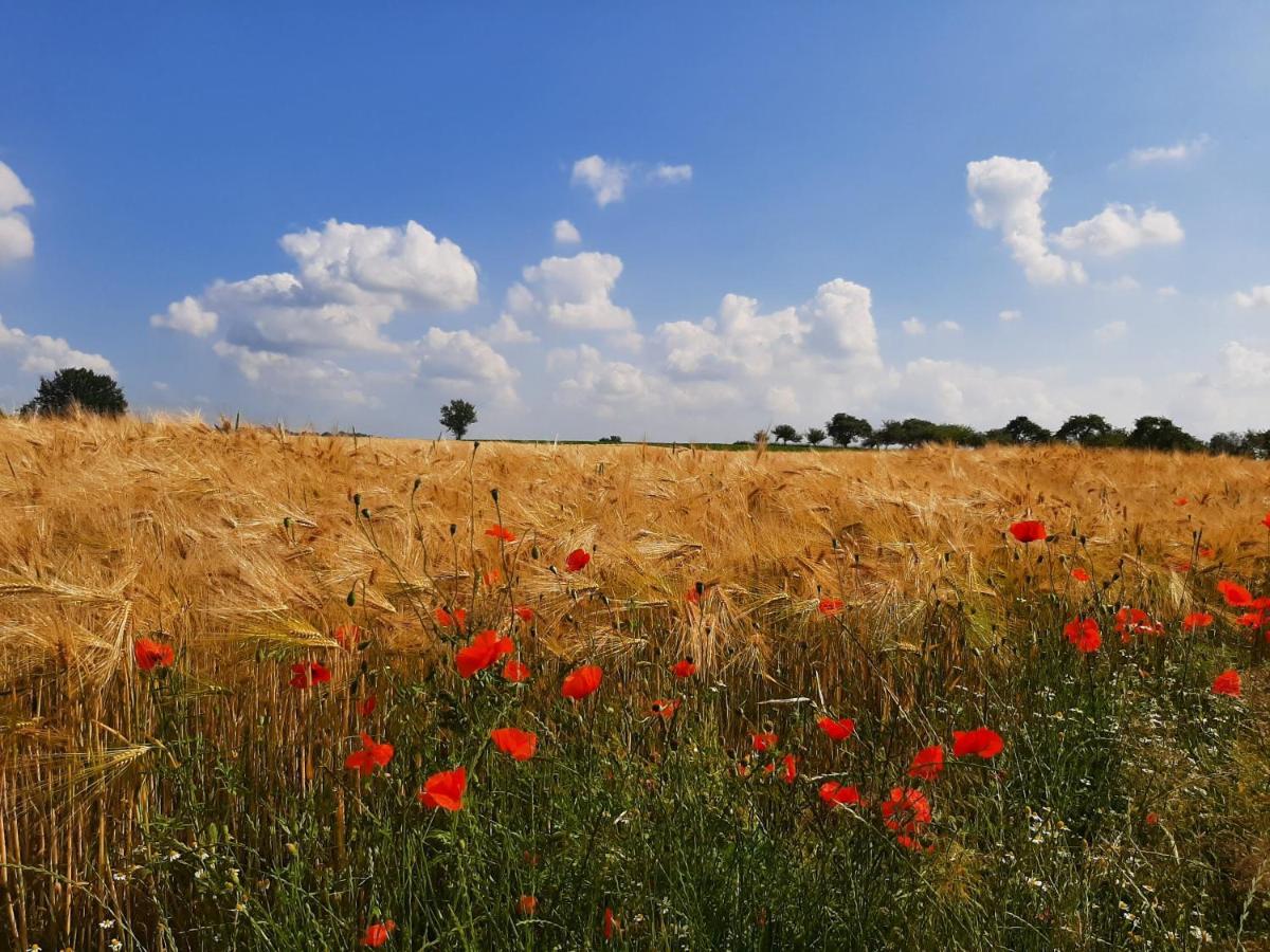 Beutenaken Drie Buitenkant foto