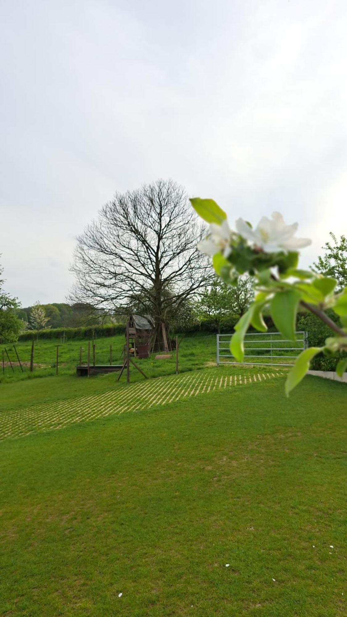 Beutenaken Drie Buitenkant foto