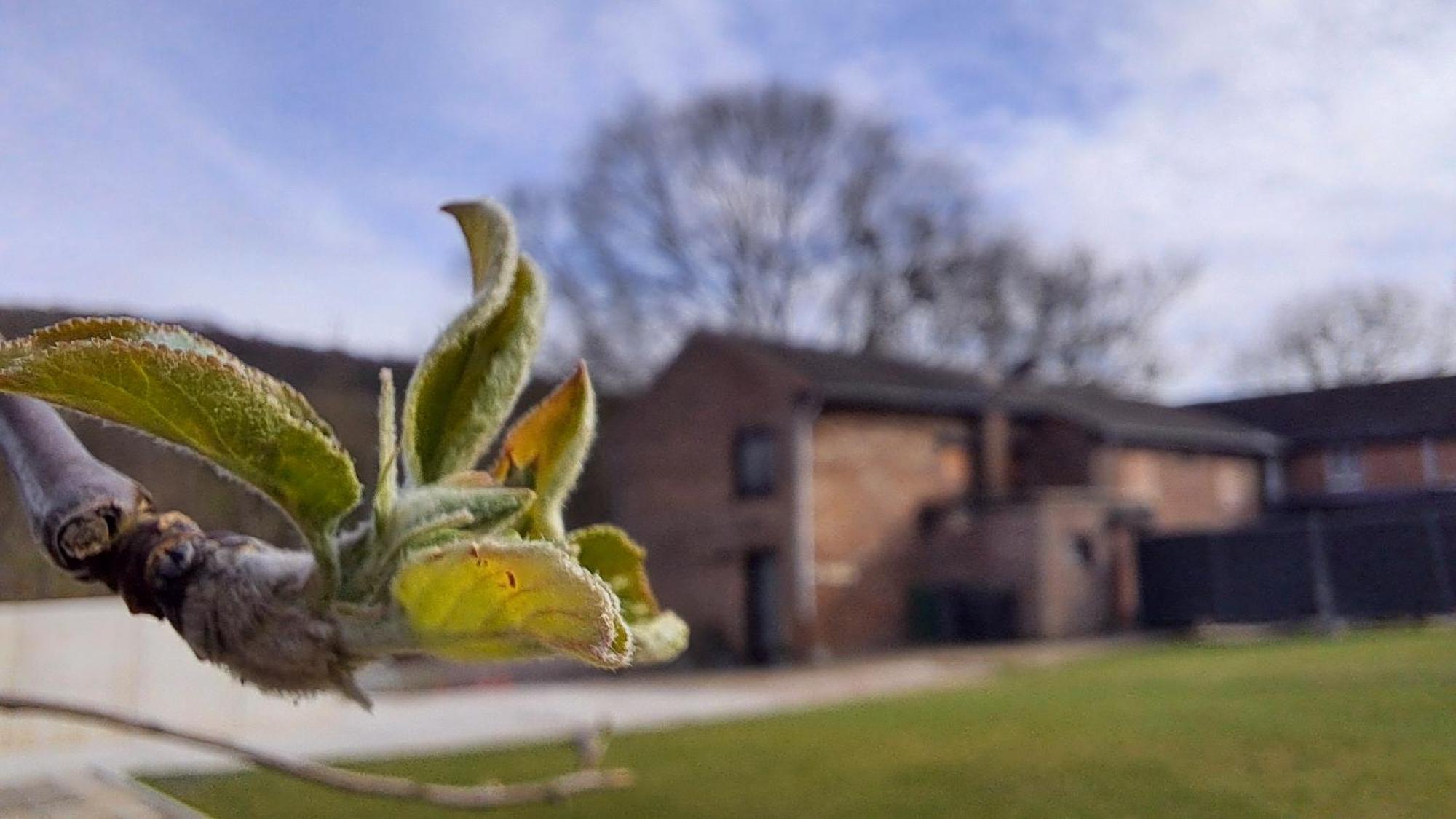 Beutenaken Drie Buitenkant foto